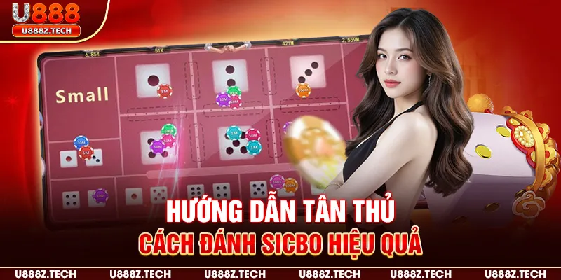 Hướng dẫn tân thủ cách đánh sicbo hiệu quả