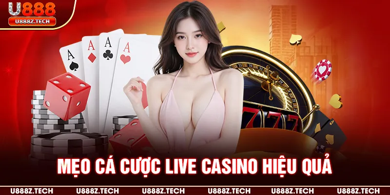 Mẹo cá cược casino hiệu quả